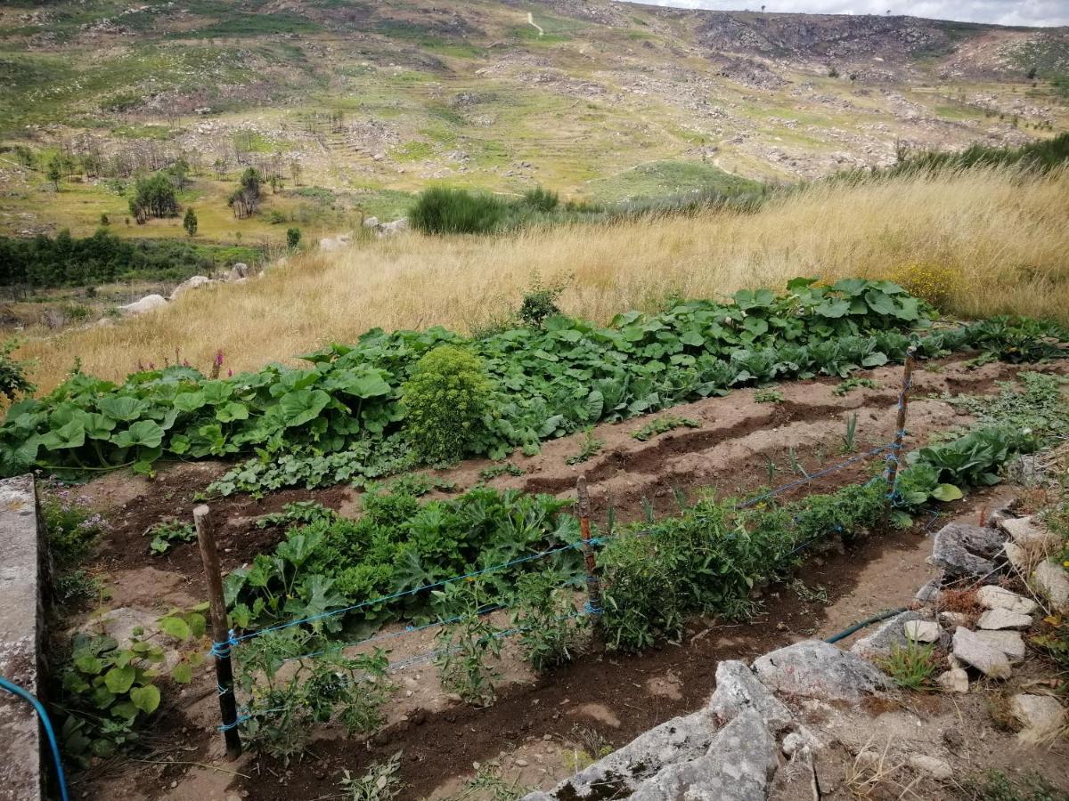 Villa Quinta Do Chaozinho Alijó Exterior foto